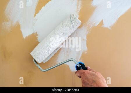 House decorating.  Painting a prepared wall white using a paint roller. Stock Photo