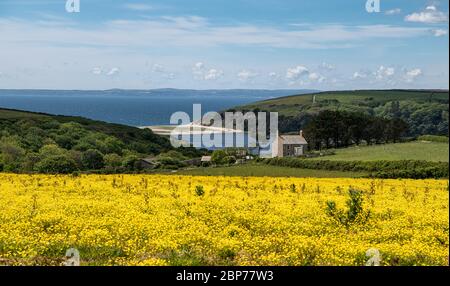 Porthleven Cornwall, Penrose is a mixture of rich farmland and woodland around Cornwall's largest natural lake, Loe Pool.Loe bar Penrose Cornwall Stock Photo