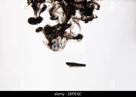 a beautiful image of a black liquid mixing in water, abstract pattern Stock Photo