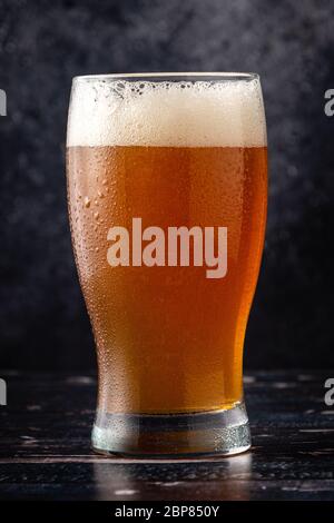 glass of beer on dark background with water droplets Stock Photo