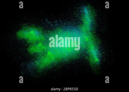 Freeze motion of colorful green blue powder paint exploding isolated on black dark background. Abstract design of color star dust cloud. Particles exp Stock Photo