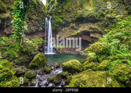 Emerald Pool Dominica Stock Photo