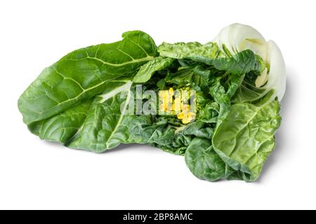 Yellow flowering bok choy close up isolated on white background Stock Photo