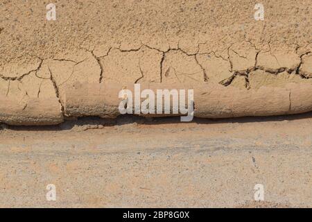 Dried and cracked earth background Stock Photo