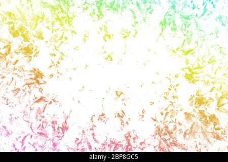 Tropical leaves with a pastel colored. Concept art. Stock Photo
