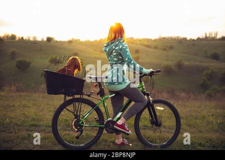 Young woman having fun near countryside park, riding bike, traveling with companion spaniel dog. Calm nature, spring day, positive emotions. Sportive, active leisure activity. Walking together. Stock Photo