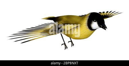 3D rendering of a flying songbird goldfinch isolated on white background Stock Photo