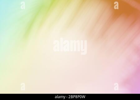 Soft blurred tropical palm leaf with a pastel color background. Stock Photo