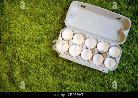 10 broken empty egg shells lie in a box on artificial grass. top view, close-up, place for copyspace Stock Photo