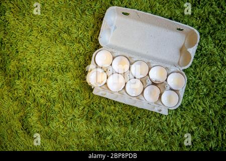 10 broken empty egg shells lie in a box on artificial grass. top view, close-up, place for copyspace Stock Photo