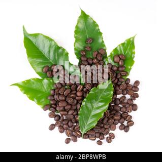 roasted coffee bean with leave isolated on white background Stock Photo