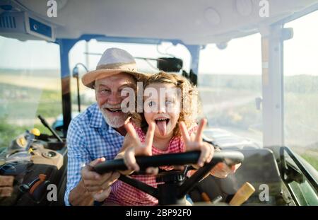 Senior farmer with small granddaughter sitting in tractor, driving. Stock Photo