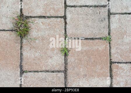 sett road - structure texture, background Stock Photo
