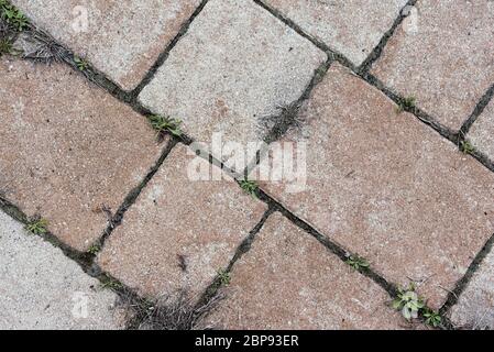 sett road - structure texture, background Stock Photo