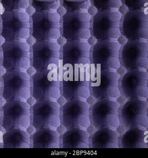 purple protective tray for raw chicken eggs with cells, full frame, close up Stock Photo