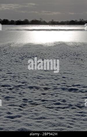 Show and frozen water on farmland, Holt, Wrexham Stock Photo