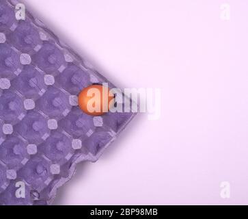 purple protective tray for raw chicken eggs with cells, top view, copy space Stock Photo