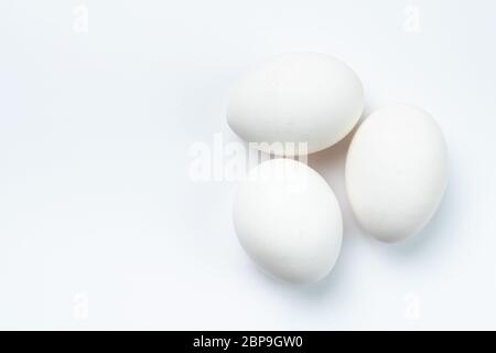 Three white chicken eggs Stock Photo
