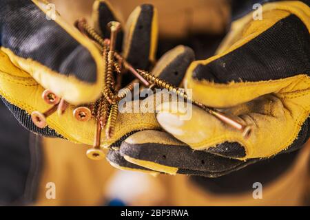 Close Up Of Construction Worker Hands In Gloves Holding Bunch Of Golden Long Screws. Stock Photo