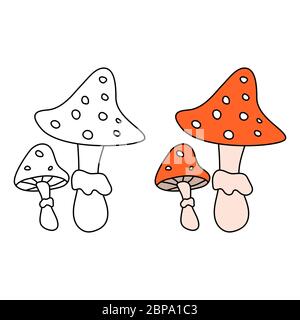 Cartoon Amanita fly agaric mushroom icon. Isolated vector illustration coloring fall plant. Stock Vector