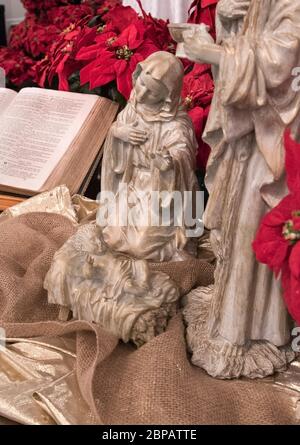 Poinsettia flowers surround a Baptist Church altar with Nativity Scene at Christmas Season. Stock Photo