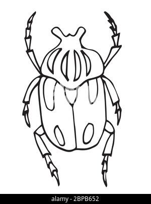 Doodle style bug, vector illustration, hand drawn, coloring page for kids. Stock Vector