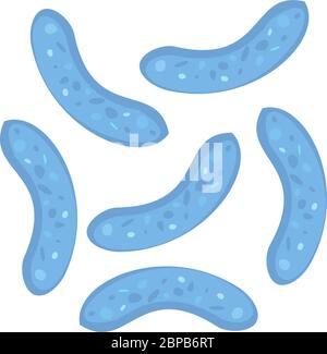 Bifidobacterium, Lactobacillus bifidus symbol. Can be used for yoghurt web banner. Medical, microbiology,fermentation concept. Stock vector Stock Vector
