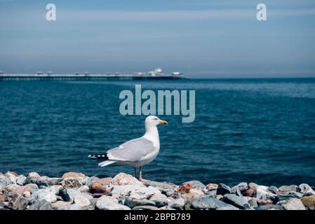 Llandudno Sea Front in North Wales, UK Stock Photo