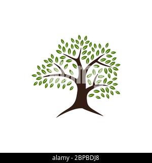 Oak Tree Logo Template Illustration Design. Vector EPS 10 Stock Photo ...