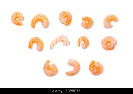 Set of boiled peeled shrimps isolated on white background. Some forms of shrimps, top view. Stock Photo