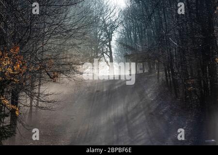 Morning mist rising from the landscape in April near Big Rapids, Michigan, USA Stock Photo