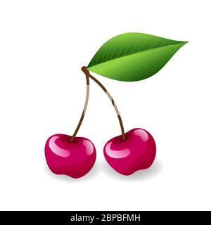 Fresh delicious cherries with leaf isolated on white background. Sweet summer fruit, vector illustration in flat style. Vegan food Stock Vector