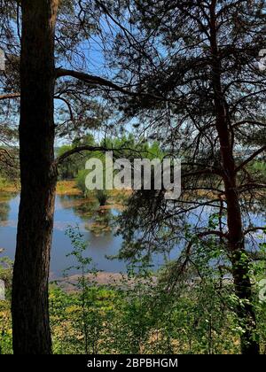 Both riverbank run the river can be seen through the thickets of trees. Spring. Stock Photo