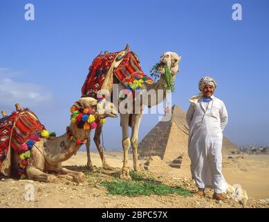 Camel driver with camels, The Great Pyramids of Giza, Giza, Giza Governate, Republic of Egypt Stock Photo