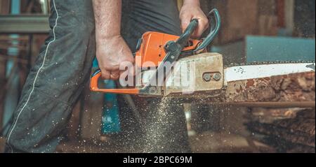 chainsaw manual in the hands of a carpenter cutting wood Stock Photo