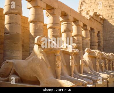 row of ram-headed sphinxes between the 1st and 2nd pylons, Karnak Temple Complex, El-Karnak, Karnak Governorate, Republic of Egypt ram rams head heads Stock Photo