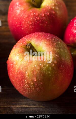 Raw Organic Red Fuji Apples in a Bunch Stock Photo