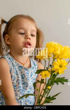 childhood, holidays, flowers, gifts concept - little cute three year old girl with two ponytails on her head in blue colorful dress holds large Stock Photo