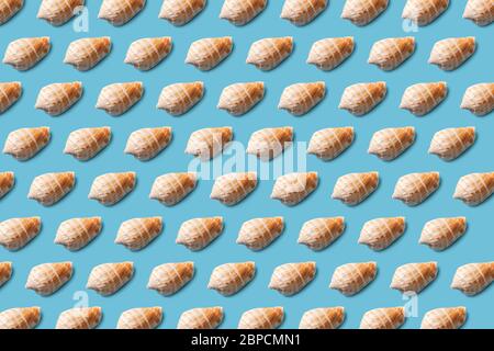Seashell pattern on a blue background. Summer minimalist. Flat lay. Stock Photo
