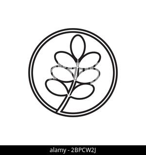 circle lines icon moringa leaf vector isolated on white background Stock Vector