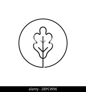 leaf oak lines icon symbol vector isolated on white background Stock Vector
