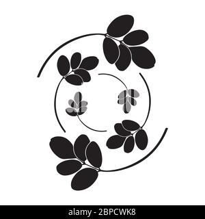 moringa leaves vector illustration on white background Stock Vector