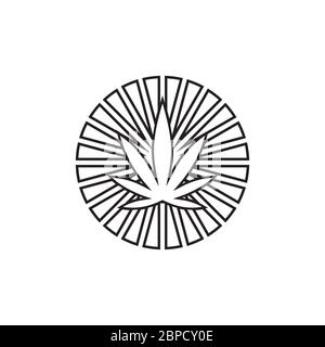 rays marijuana leaf icon vector concept isolated on white background Stock Vector