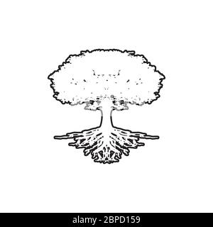 lines tree root icon vector isolated on white background Stock Vector