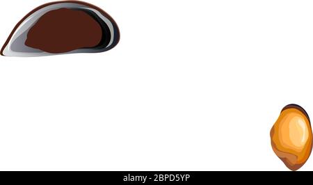 Fresh open and closed mussels vector set Stock Vector