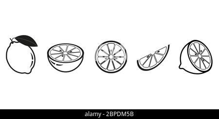 Lemon icons set isolate on white background Stock Vector