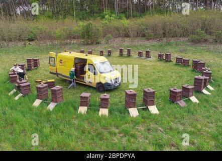 Briesen, Germany. 18th May, 2020. In the circle are hives (bee boxes, where the honeycombs are hung) from the beekeeping Bernd Janthur and Martin Müller GbR on a meadow in the Oder-Spree district (aerial photo with a drone). May 20th is UN World Bee Day, thus the world community underlines the urgent protection of bees. The importance of bees as pollinators for biodiversity and food security is elementary for mankind. A bee colony consists of a queen, several hundred drones and 30,000 to 60,000 worker bees - in summer up to 120,000. Credit: Patrick Pleul/dpa-Zentralbild/ZB/dpa/Alamy Live News Stock Photo