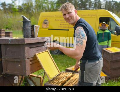 Briesen, Germany. 18th May, 2020. The master beekeeper Martin Müller, from the apiary Bernd Janthur und Martin Müller GbR, shows his tattoo on the upper arm, which is suitable for his profession. May 20th is UN World Bee Day, thus the world community underlines the urgent protection of bees. The importance of bees as pollinators for biodiversity and food security is elementary for mankind. A bee colony consists of a queen, several hundred drones and 30,000 to 60,000 worker bees - in summer up to 120,000. Credit: Patrick Pleul/dpa-Zentralbild/ZB/dpa/Alamy Live News Stock Photo