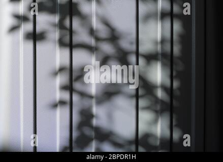 Pattern of gray diamonds and shadows from branches, background, plastic macro Stock Photo