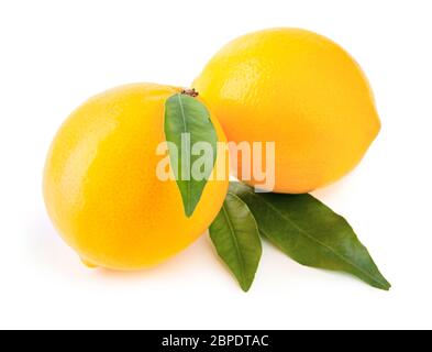 Pair of fresh juicy lemons with green leaves isolated on white background with shadow Stock Photo